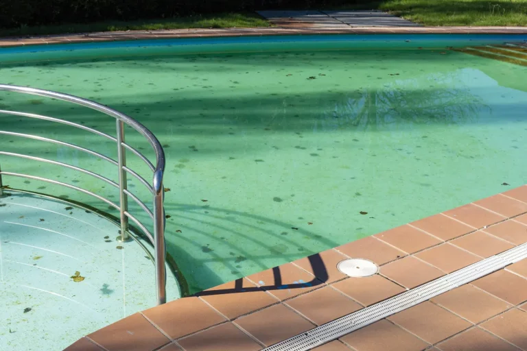 Cloudy Pool Water After Shock Causes, Treatment & Prevention